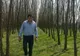 Halucinant! Fermier amendat de Garda de Mediu, după ce a plantat 40.000 de arbori!