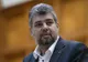 Președintele interimar al PSD îl scuză pe Bădălău pentru afirmațiile grave la adresa Diasporei