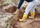 De ce cred procurorii din Olt că oasele găsite pe un câmp ar fi putut fi "plantate" acolo