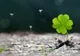 4 zodii care se îmbogățesc până la sfârșitul anului