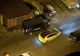 Autoritățile, în alertă! Urși printre mașini, în Brașov(Video)