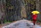 Vremea a luat-o razna! Prognoza meteo pentru toată țara