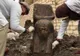 Descoperire bulversantă a arheologilor în Egipt
