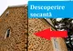 Au spart zidul vechi de secole al unei universități și au găsit ceva incredibil. Ce era în camera secretă