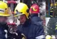 „Intervenție în forță” a pompierilor de la ISU Dâmbovița, pentru…o pisică. Animalul se urcase într-un brad de 10 metri(Video)