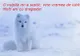POZE REVELION 2020 // Felicitari de Anul Nou în imagini. Cele mai frumoase poze cu LA MULTI ANI 