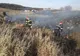 Descoperire tulburătoare, în jud. Suceava: ce au găsit pe câmp, după stingerea unui incendiu de vegetație