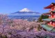 Sigur nu știai asta! În Japonia și Israel NU vine anul 2020