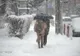 PROGNOZA METEO. Ce vreme ne așteaptă în decembrie