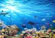 Încălzirea globală lasă oceanele fără oxigen