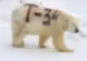Misterul ursului polar vopsit cu însemnele tancului sovietic T-34