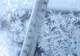 Ger năpraznic în Miercurea Ciuc! Temperaturi negative record pentru 2019
