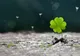 Horoscop 10 decembrie. Zodia care trage lozul câștigător! Nimic nu-i mai stă în cale acum