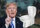 Donald Trump, îngrijorat de apa din bazinul de WC