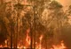 Drama australienilor nu se mai termină. Autoritățile au anunțat evacuări masive