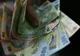 Un român s-a trezit cu 27.000 de euro în cont. Ce s-a întâmplat apoi