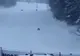 Mesaj Ro-Alert în Predeal! Doi urși au fost văzuți în zone pline de oameni