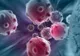 Descoperire revoluționară. O celulă din sânge ar putea trata toate tipurile de cancer