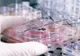 OMS a declarat stare de urgență la nivel global, în urma epidemiei de CORONAVIRUS