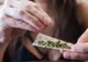 Un nou stat din SUA a legalizat marijuana