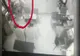 VIDEO : Victima unei TÂLHĂRII trimisă acasă de polițiștii din Alba Iulia după ce a identificat SUSPECTUL