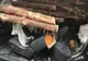 Femeie strivită sub stiva de lemne, în Harghita
