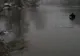 FOTO+VIDEO Minor găsit MORT, pe malul râului Olt!
