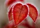 Prognoza meteo pe o lună. Schimbări importante: cum va fi vremea până pe 10 februarie