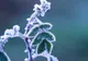 Prognoza meteo pe o lună. Schimbări radicale: cum va fi vremea până pe 10 februarie