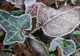 ALERTĂ METEO. Meteorologii au emis cod GALBEN de fenomene periculoase