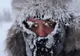 ALERTĂ METEO. Este cod GALBEN de fenomene EXTREME periculoase