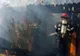 VIDEO O femeie a murit carbonizată după ce casa i-a luat foc