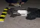 Colet suspect la Tulcea: Geniştii au găsit două bucăţi de polistiren