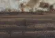 Un alt incendiu a izbucnit în DELTA VĂCĂREȘTI! Se solicită sprijinul Poliţiei Capitalei