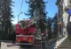 Un brad vechi de un secol riscă să cadă peste Primăria Târgoviște 