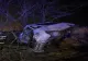 Accident GRAV în jud. Sibiu. Microbuz răsturnat, șoferul a ajuns la spital