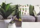 De ce trebuie să așezi cactusul întotdeauna lângă televizor? Îți va schimba viața