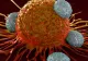 S-a spânzurat după ce a crezut că s-a infectat cu coronavirus