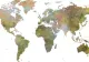 Bilanț intermediar coronavirus la nivel global: COVID-19 a ajuns în Africa și America Latină