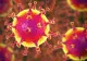 Al doilea deces cauzat de coronavirus în SUA