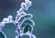 Prognoza meteo pe o lună. Schimbări radicale: cum va fi vremea până pe 9 martie