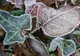Meteorologii anunță schimbări dramatice. Cum va fi vremea până pe 16 februarie