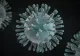Sucevean suspect de coronavirus