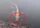 Peștele cu „față umană”, viral pe internet