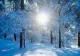 Atenționare meteo cod galben de NINSORI VISCOLITE. HARTA cu cele mai afectate zone