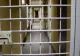 Cât cerea o contabilă șpagă pentru a facilita angajarea într-un spital - Femeia a fost acum arestată