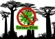 COVID-19. Primele cazuri de infectare cu coronavirus din Madagascar