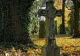 Incident șocant! Un bărbat a fost prins de poliție când își ducea tatăl mort, într-un cărucior, la cimitir