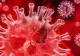 Coronavirus. „Ciuma” de Camus, adusă de COVID-19 în top cele mai citite cărți în Franța și Italia
