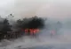VIDEO Incendiu în pădurea Făget de lângă Cluj-Napoca